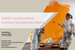 Dublin’s professional commercial painting experts