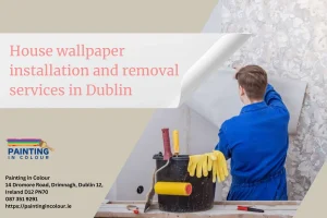 House wallpaper installation and removal services in Dublin