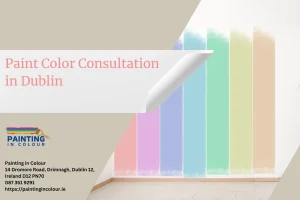 Paint Color Consultation in Dublin