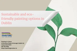Sustainable and eco-friendly painting options in Dublin