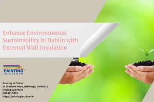 Enhance Environmental Sustainability in Dublin with External Wall Insulation