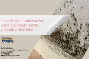 External wall insulation for damp and condensation prevention in Dublin